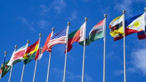 flags25